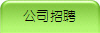 公司招聘