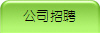 公司招聘